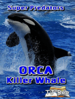 Orca Killer Whale: Super Predators