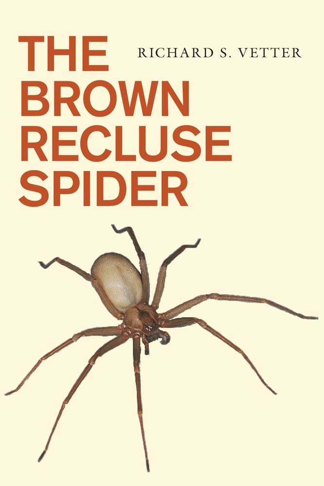 brown recluse spider - Loxosceles reclusa Gertsch and Mulaik