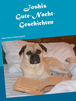 Joshis Gute-Nacht-Geschichten