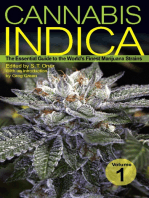 Cannabis Indica: The Essential Guide to the World's Finest Marijuana Strains