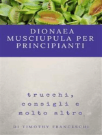 Dionaea Muscipula per principianti: trucchi, consigli e molto altro