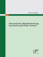 Ultraschnelle Objekterkennung innerhalb natürlicher Szenen