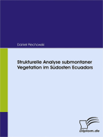 Strukturelle Analyse submontaner Vegetation im Südosten Ecuadors