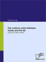 The customs union between Turkey and the EU: How did it affect Turkey?