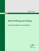 Data Profiling mit Eclipse: Von den Grundlagen zum Prototypen