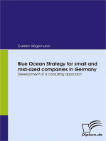 Blue Ocean Strategy for small and mid-sized companies in Germany