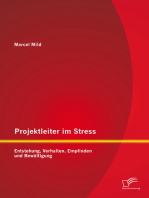 Projektleiter im Stress