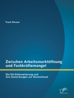 Zwischen Arbeitsmarktöffnung und Fachkräftemangel: Die EU-Osterweiterung und ihre Auswirkungen auf Deutschland