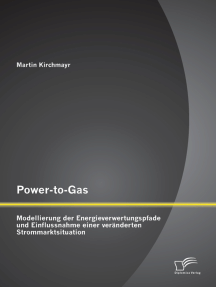 Power-to-Gas: Modellierung der Energieverwertungspfade und Einflussnahme einer veränderten Strommarktsituation