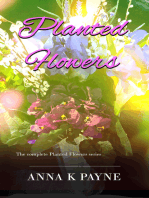 Planted Flowers Series