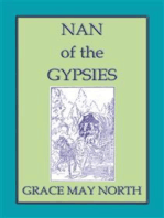 NAN of the GYPSIES - An American Coming of Age Novel