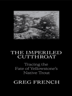 The Imperiled Cutthroat