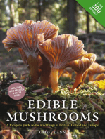 Edible Mushrooms: A forager's guide to the wild fungi of Britain and Europe