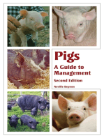Pigs: A Guide to Management - Second Edition