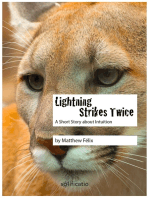 Lightning Strikes Twice: A Short Story about Intuition