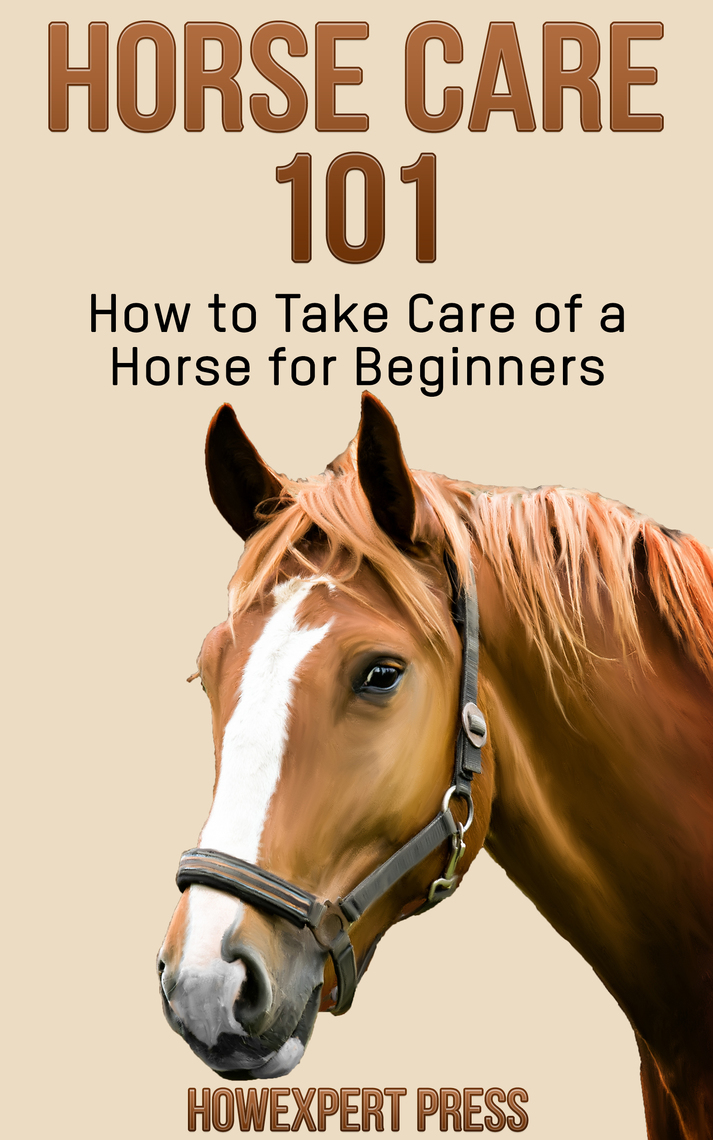 Horse Care 101: How to Take Care of a Horse for Beginners by HowExpert ...