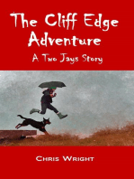 The Cliff Edge Adventure
