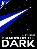 Diamond in the Dark: The End and Afterwards, #2