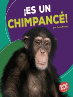 ¡Es un chimpancé! (It's a Chimpanzee!)