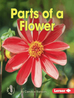 Parts of a Flower