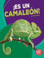 ¡Es un camaleón! (It's a Chameleon!)