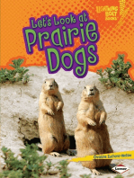 Let's Look at Prairie Dogs