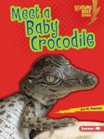 Name of Some Animals and Their Young Ones:: Hen Young One Is Chick | PDF