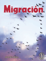 Migración (Migration)