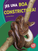 ¡Es una boa constrictora! (It's a Boa Constrictor!)