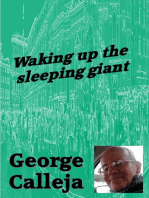 Waking up the Sleeping Giant