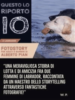 Questo lo riporto io!: Una storia di lotta e di amicizia fra due femmine di Labrador.