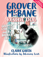 Grover, Stretch and the Broken Leg: Grover McBane Rescue Dog: Book Four