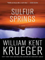 Sulfur Springs: A Novel