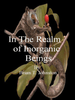 In The Realm of Inorganic Beings