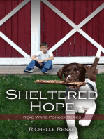 Sheltered Hope