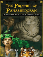 The Prophet of Panamindorah, Book 2 Wolflings and Wizards: The Prophet of Panamindorah, #2