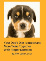 Your Dog’s Diet is Important