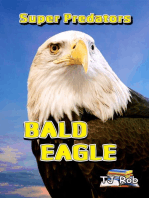 Bald Eagle: Super Predators