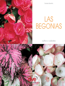 Lee Las begonias de Daniela Beretta - Libro electrónico | Scribd