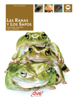 Las Ranas y los Sapos