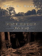 Pine Brook Falls