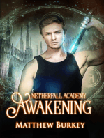 Netherfall Academy: Awakening