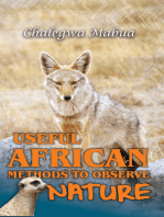 Useful African Methods To Observe Nature