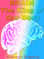 Brain: The King of Our Body