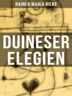 Duineser Elegien: Elegische Suche nach Sinn des Lebens und Zusammenhang