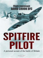 Spitfire Pilot