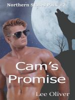 Cam's Promise