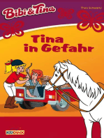 Bibi & Tina - Tina in Gefahr: Roman zum Hörspiel