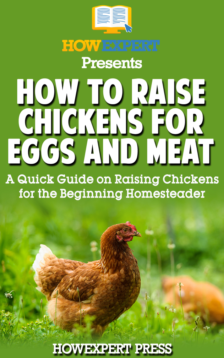 How to Raise Chickens for Eggs and Meat: A Quick Guide on Raising ...