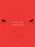 Delitos de poca envergadura